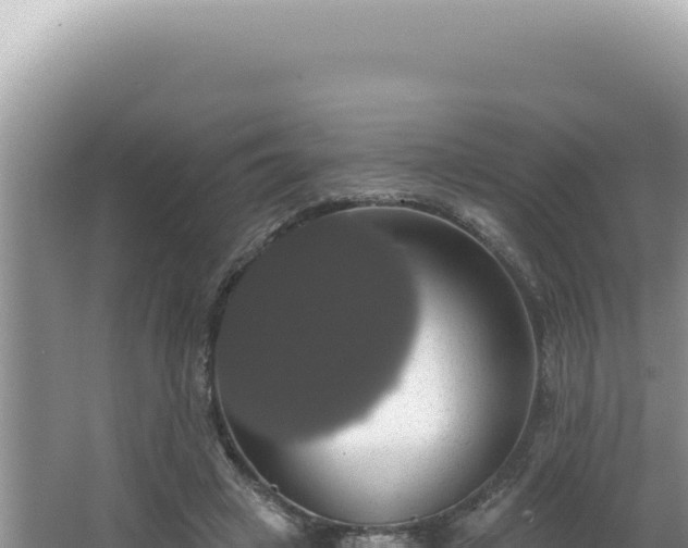 X0000064740449200602131320