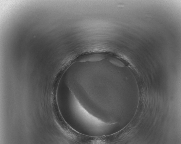 X0000064740451200602131320