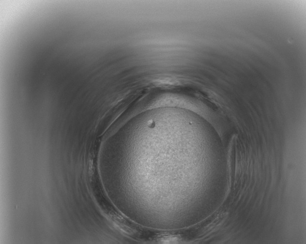 X0000064740456200602131320