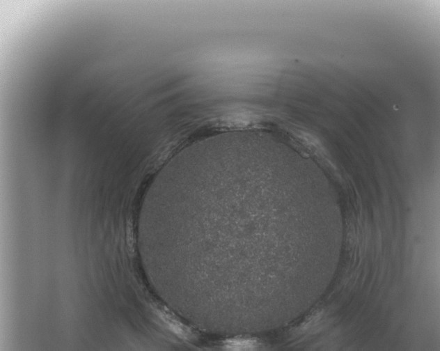 X0000064740457200602131320