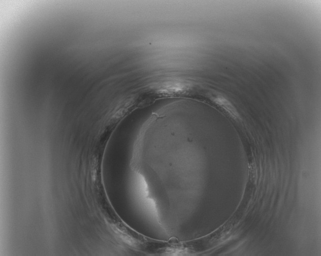 X0000064740458200602131320