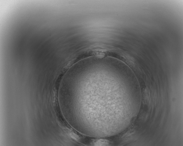 X0000064740463200602131320