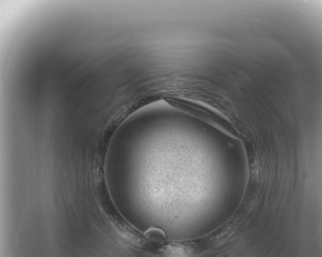 X0000064740464200602131320