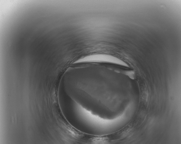 X0000064740465200602131320