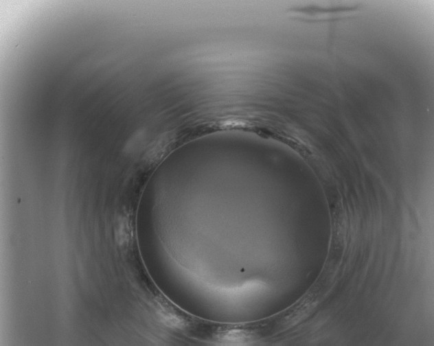 X0000064740467200602131321