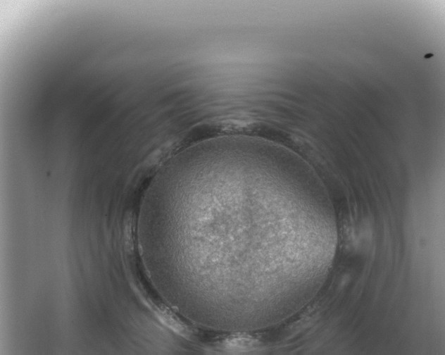 X0000064740468200602131321