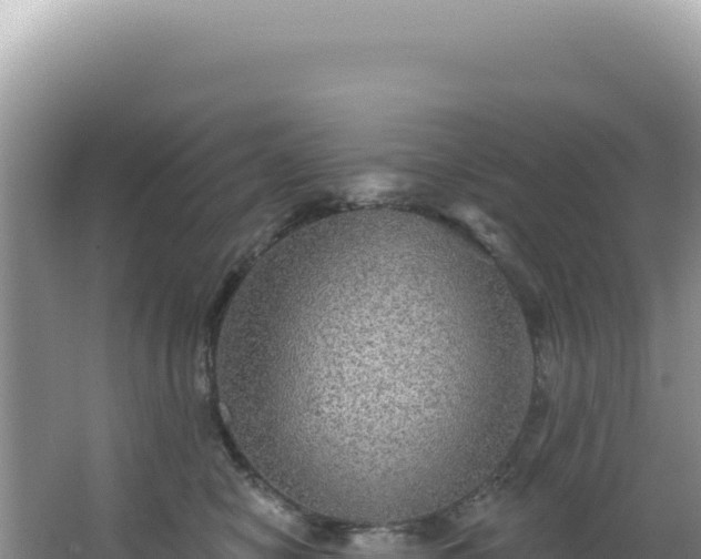 X0000064740470200602131321