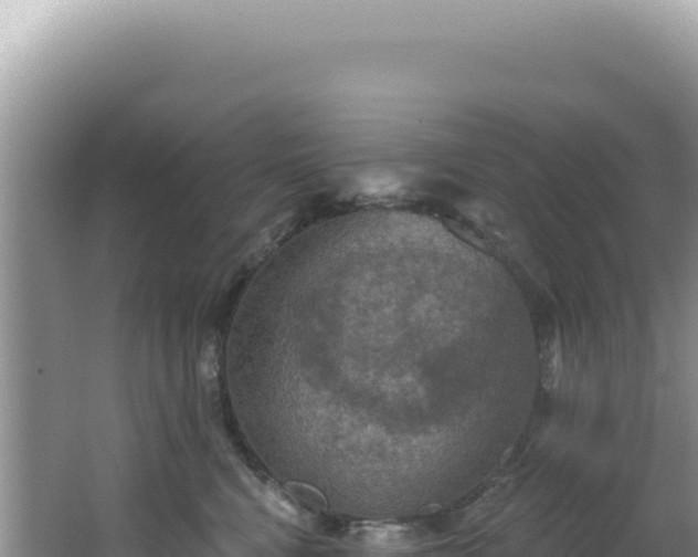 X0000064740472200602131321