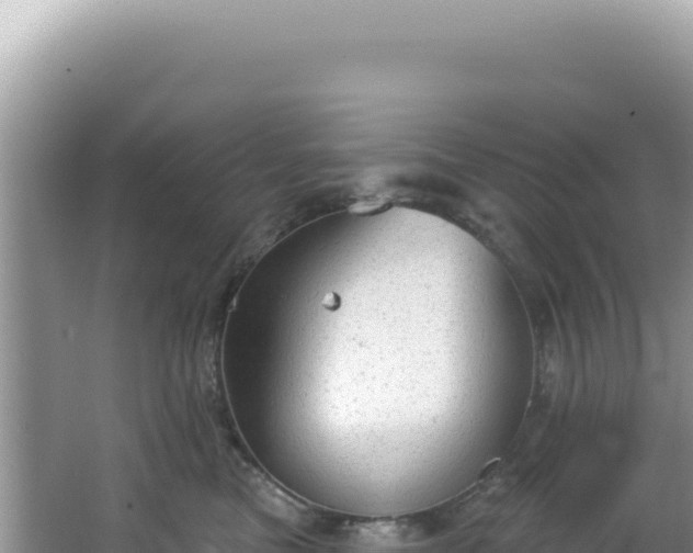 X0000064740473200602131321