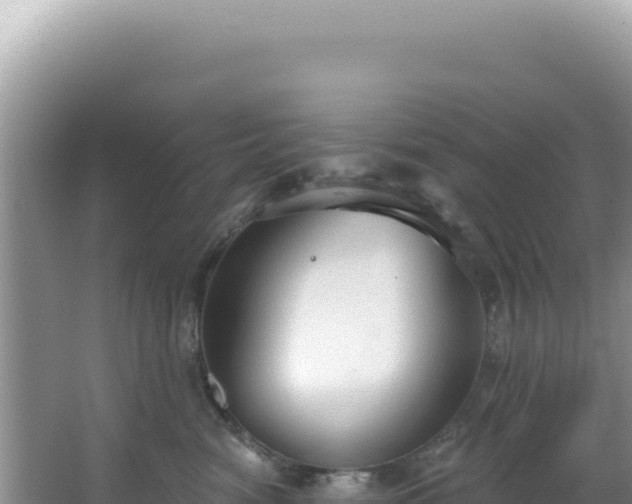 X0000064740474200602131321