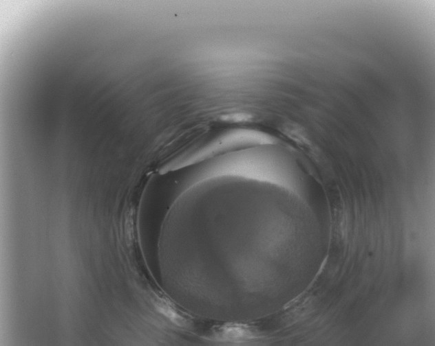 X0000064740475200602131321