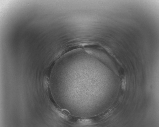 X0000064740476200602131321