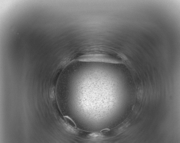 X0000064740477200602131321