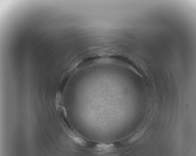 X0000064740480200602131321