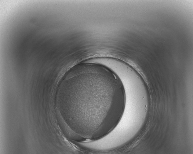 X0000064740481200602131320