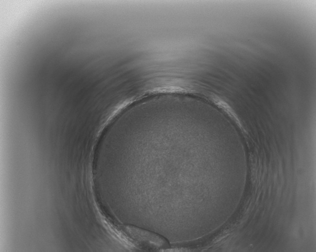 X0000064740482200602131320