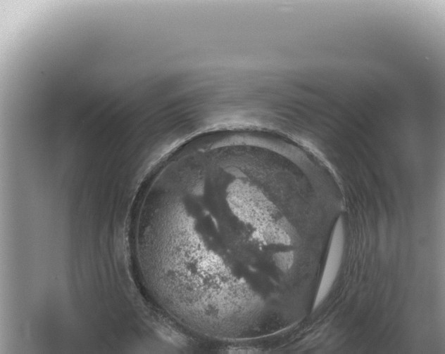 X0000064740487200602131320