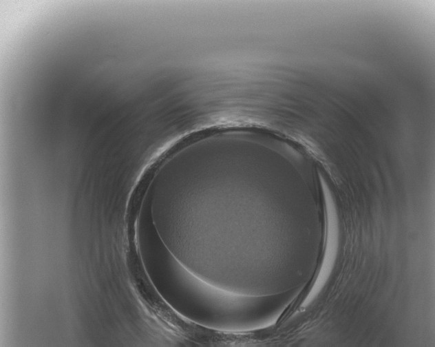 X0000064740488200602131320