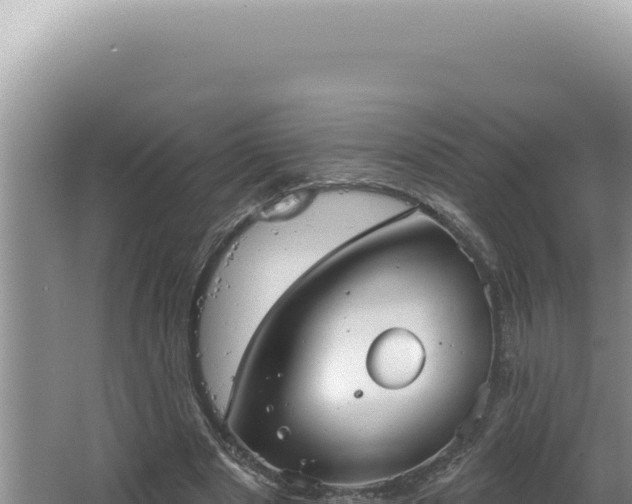 X0000064740489200602131320