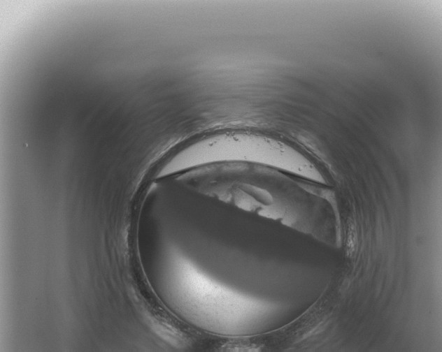 X0000064740491200602131320