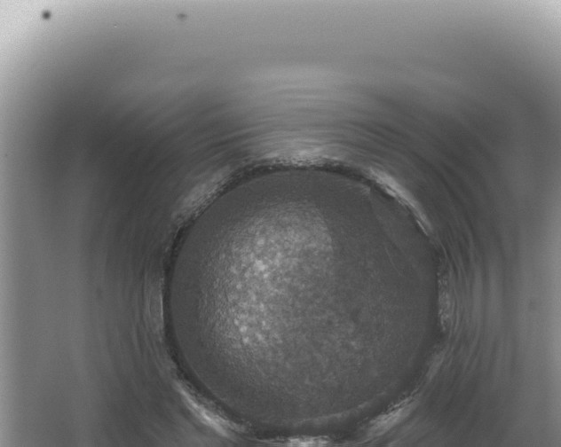 X0000064740493200602131320