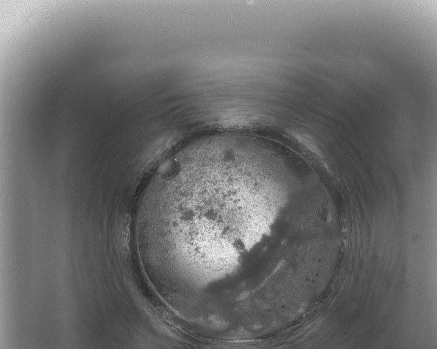 X0000064740495200602131320