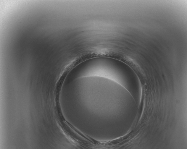 X0000064740496200602131320