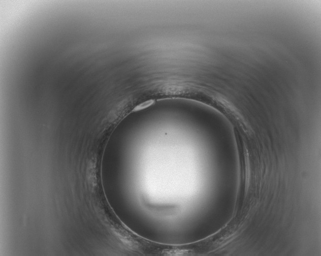 X0000064740497200602131320