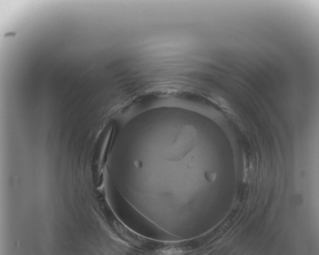 X0000064740500200602131320