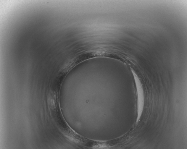 X0000064740503200602131320