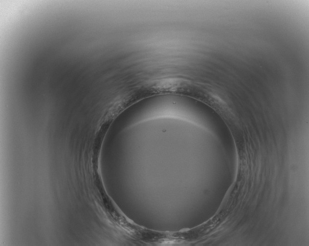 X0000064740504200602131320