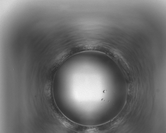 X0000064740505200602131320