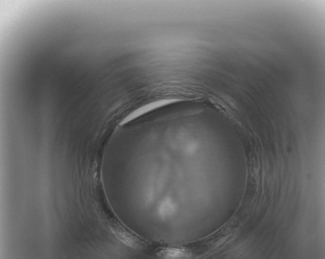 X0000064740507200602131319