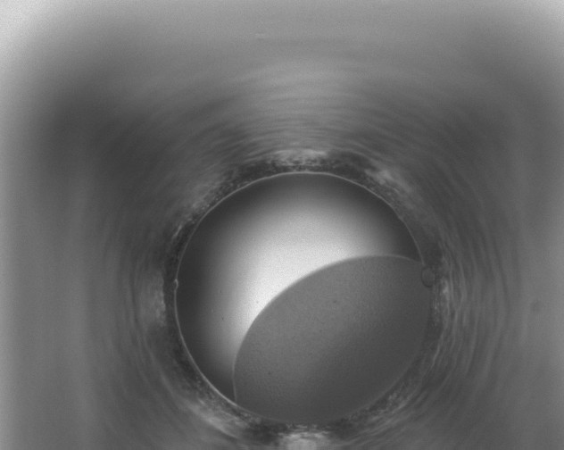 X0000064740508200602131319