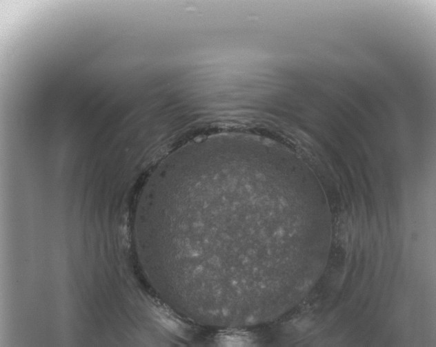 X0000064740510200602131319