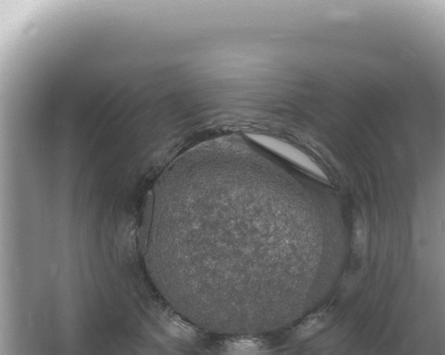 X0000064740513200602131319