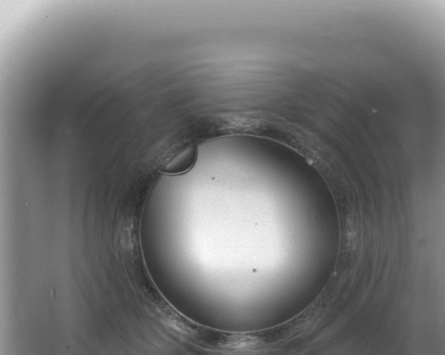 X0000064740514200602131319