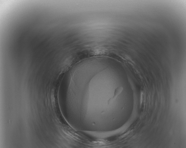 X0000064740516200602131319