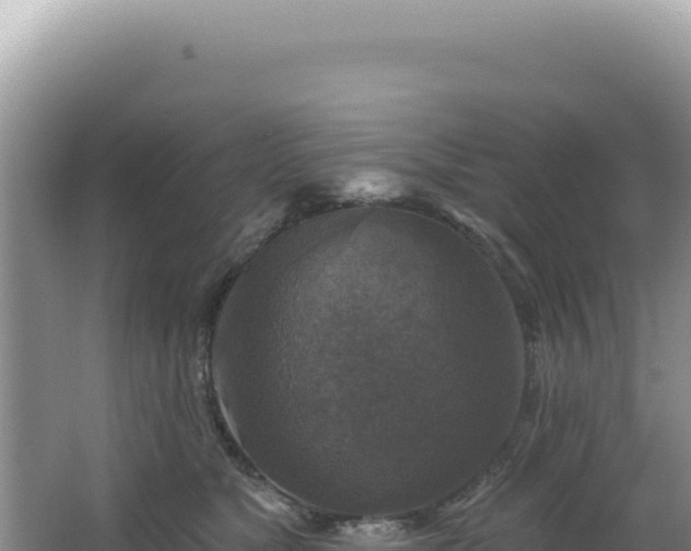 X0000064740517200602131319