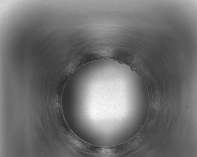 X0000064740518200602131319