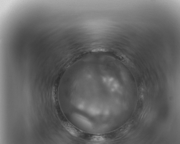 X0000064740519200602131319