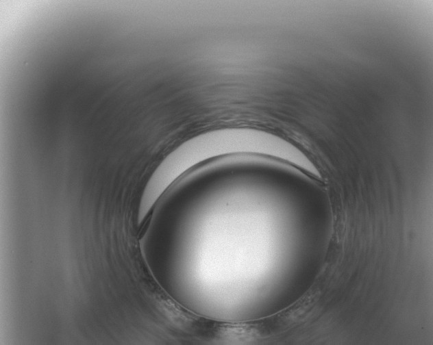 X0000064740521200602131319