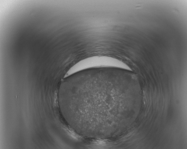 X0000064740523200602131319