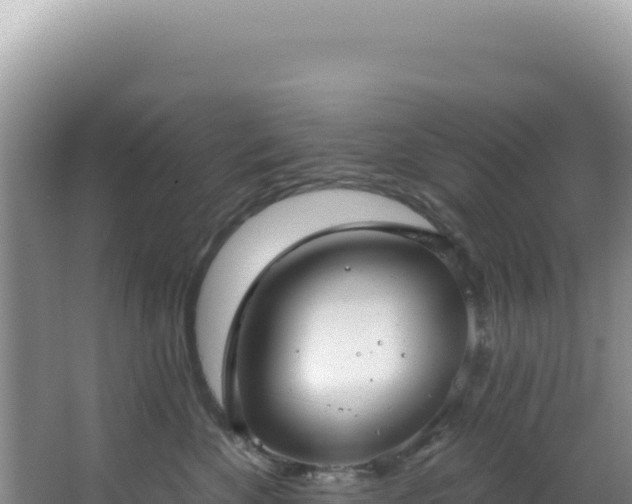 X0000064740524200602131319