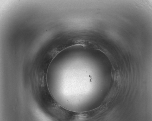 X0000064740525200602131319