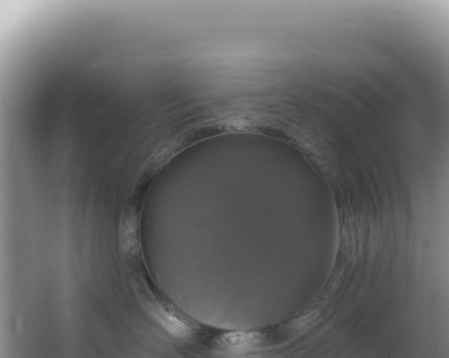 X0000064740526200602131319