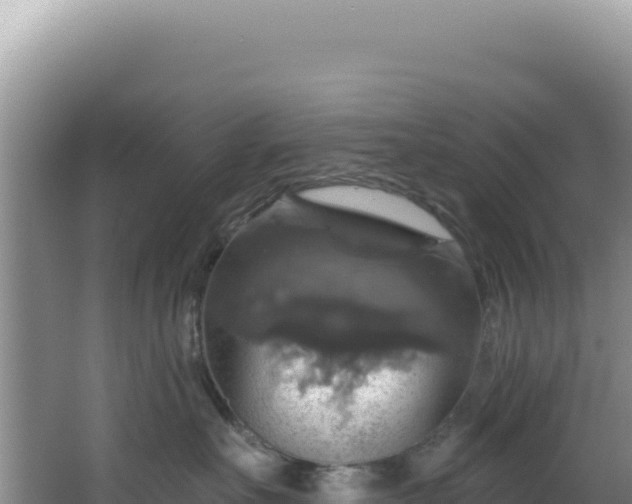 X0000064740527200602131319