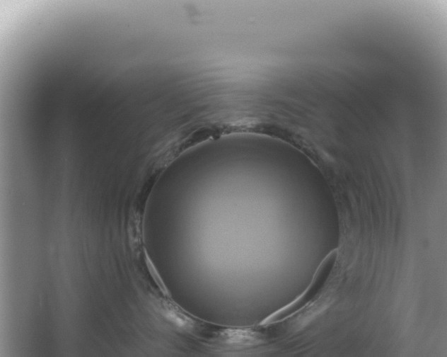 X0000064740528200602131319