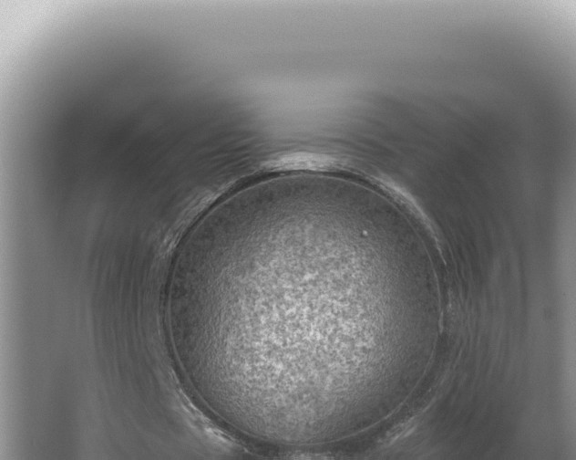 X0000064740529200602131318