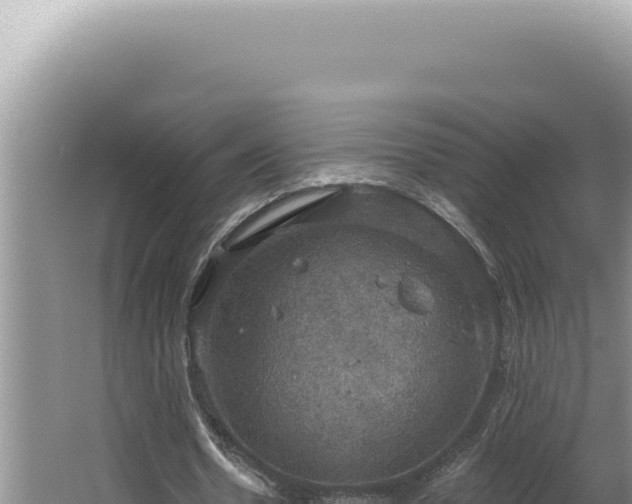 X0000064740530200602131318